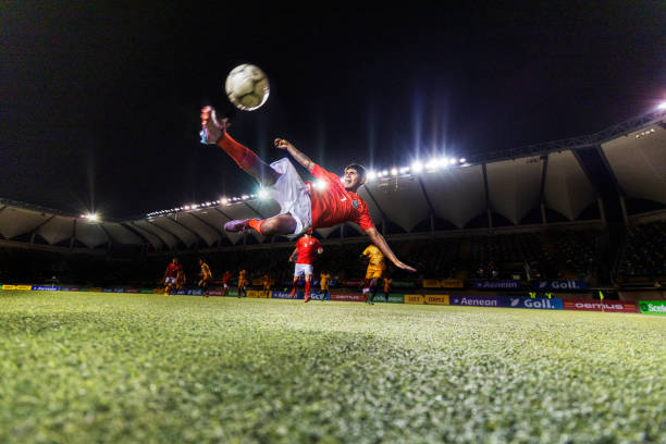 的所有权 的所有权