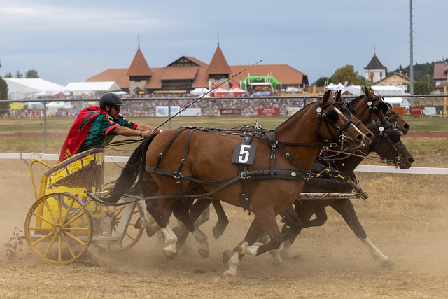 默契不足 默契不足