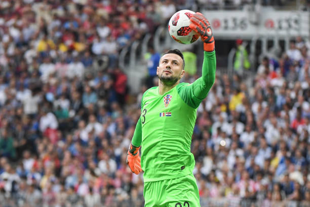 的指导下 的指导下