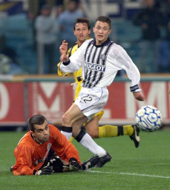 大的自主权 大的自主权